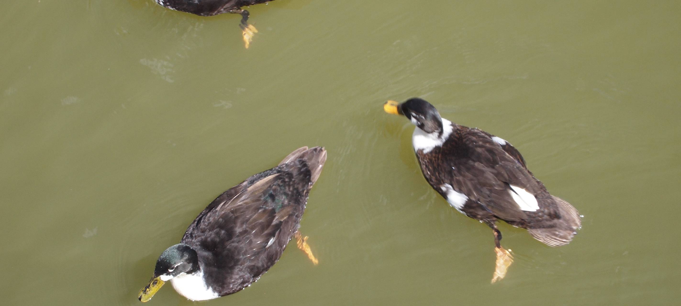 Die gute Nachricht des Tages - Rückblick Juli