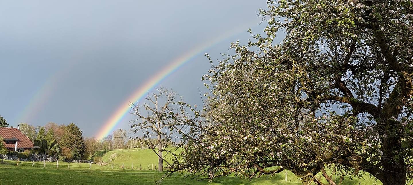 Regenbogen-Wetter im Märkischen Kreis