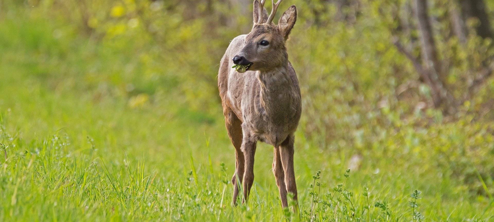 Unfallgefahr: Achtung Blattzeit!
