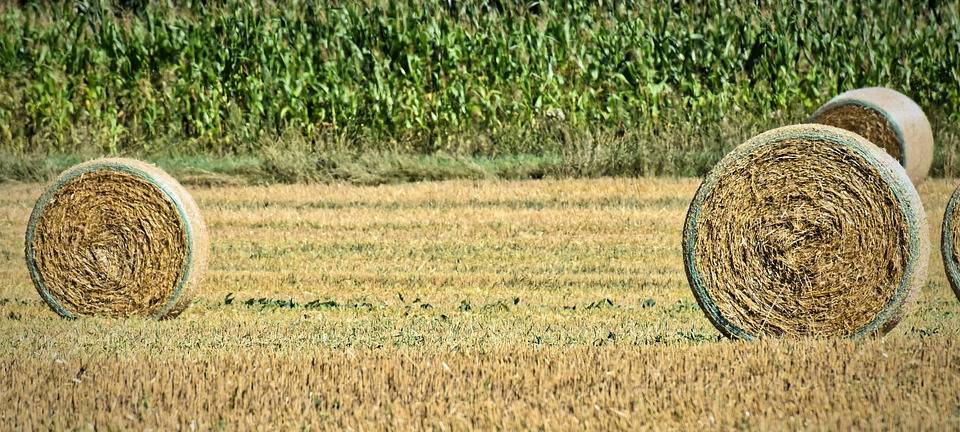 Siloballen den Berg runtergerollt
