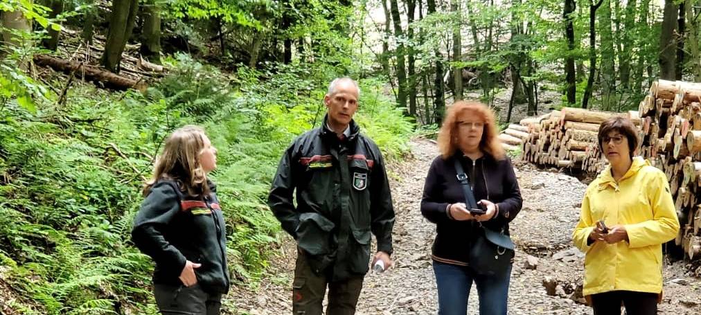 Waldhilfe gefordert