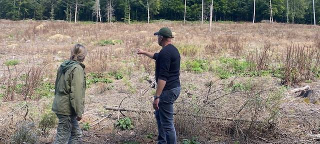 Gartengestaltung Brunnert: "Investition in die Zukunft"