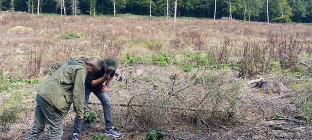 Für den Klimaschutz: Unternehmen Zukunftswald
