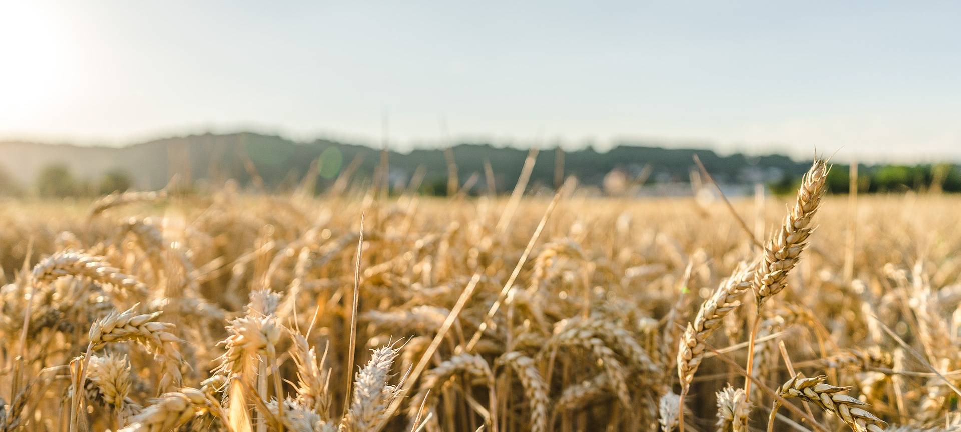So war die Gras-Ernte im Märkischen Kreis