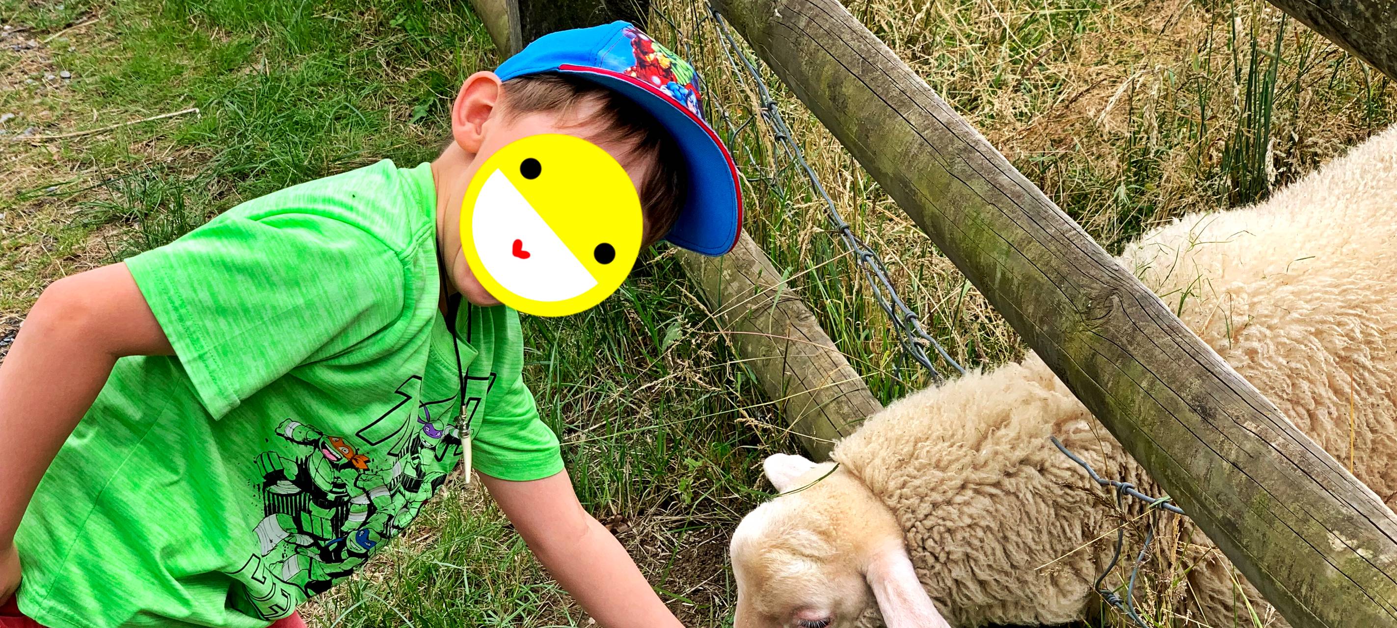 Frage der Woche: Kinderfotos im Netz