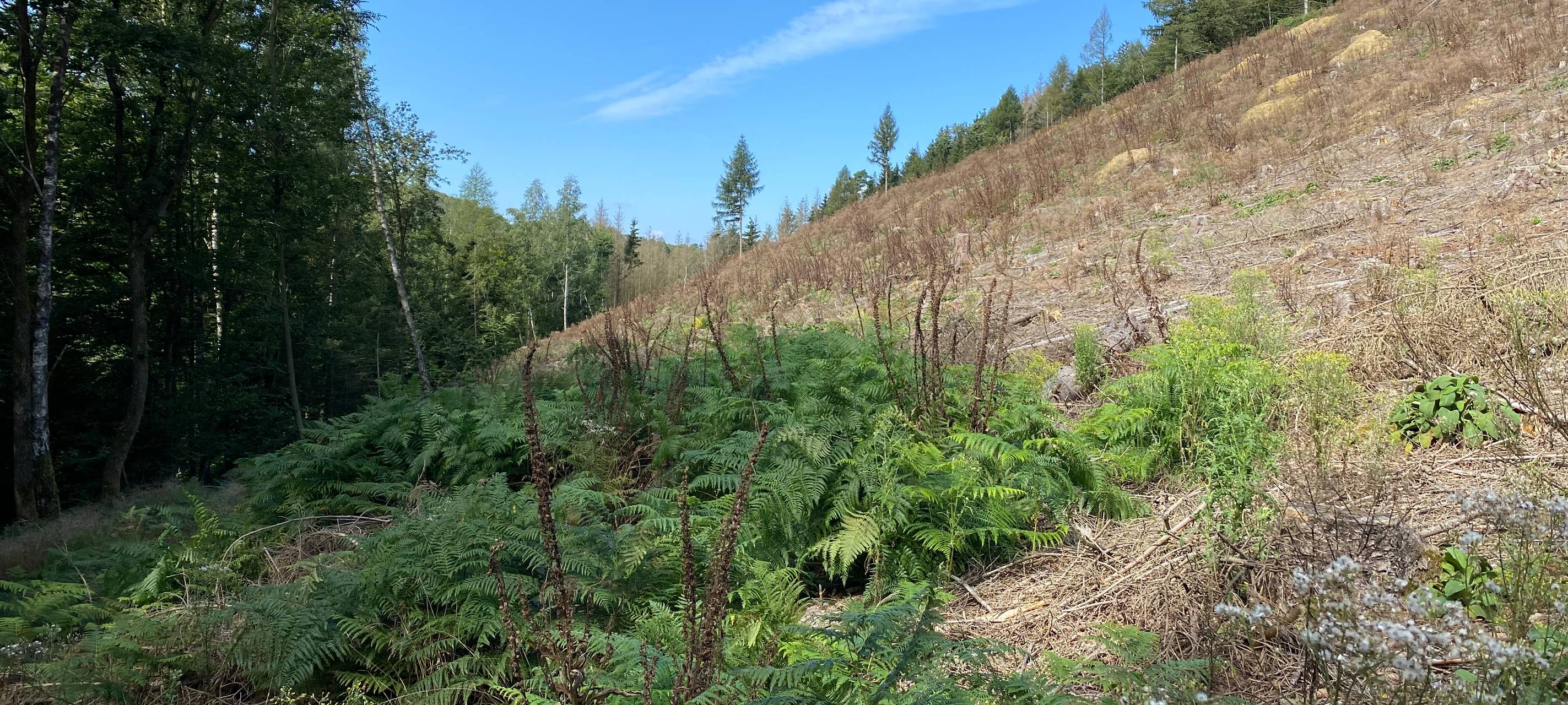 LOBBE unterstützt das "Radio MK Einheitsbuddeln"