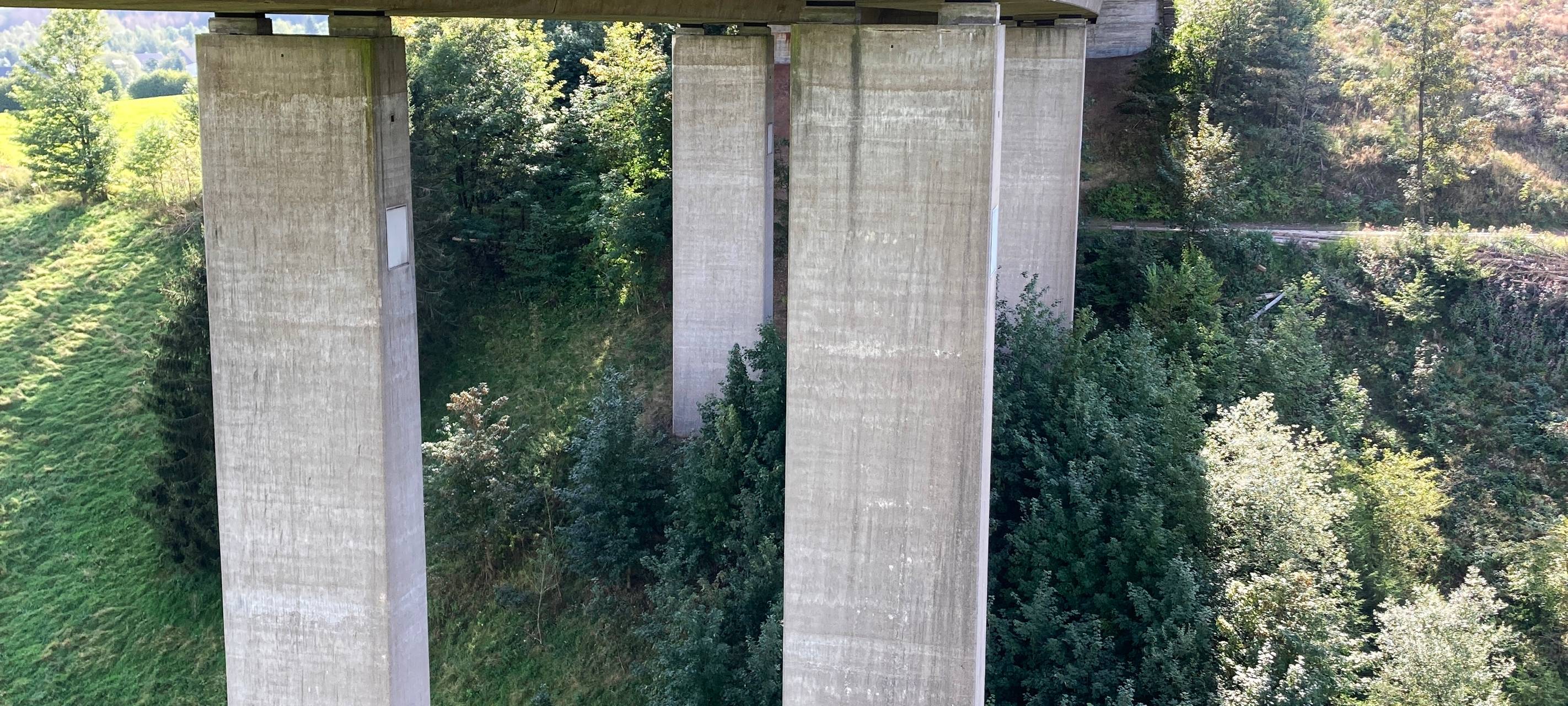 Talbrücke beim Gesundheits-Check