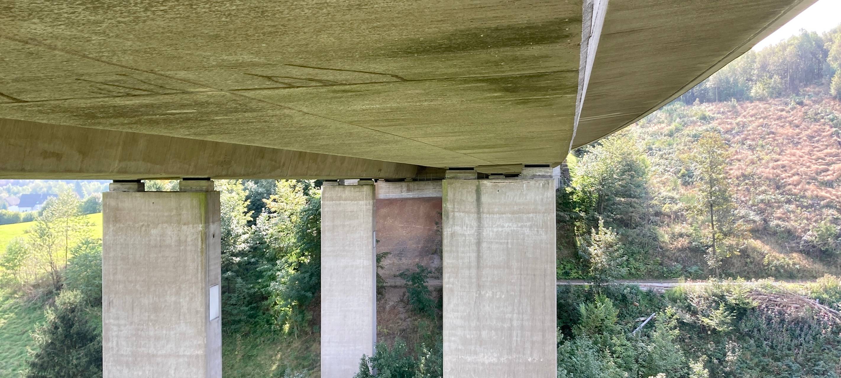 Talbrücke beim Gesundheits-Check