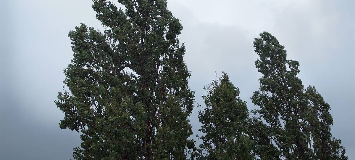 Ordentlicher Herbststurm zieht durch den Märkischen Kreis