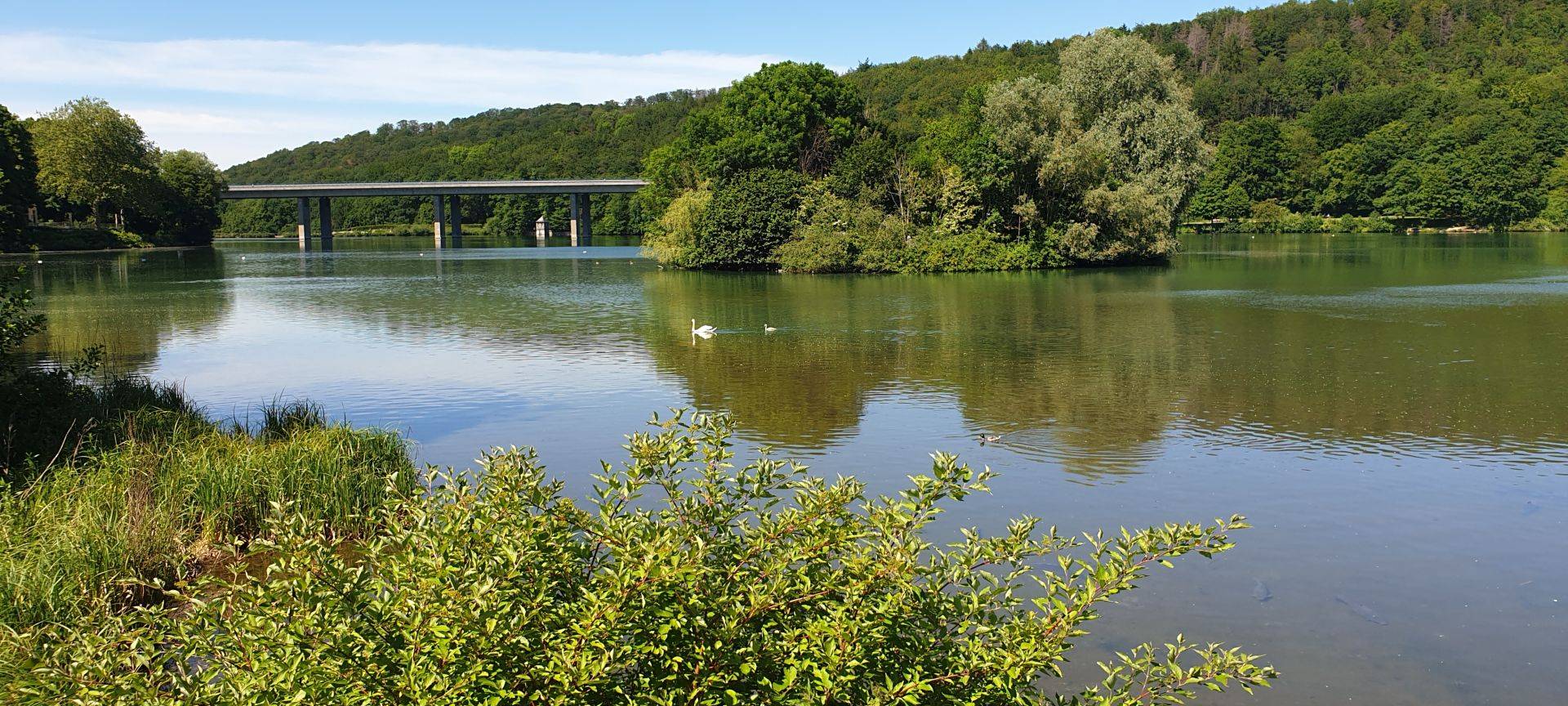 Jagd auf Wildgänse in Iserlohn?