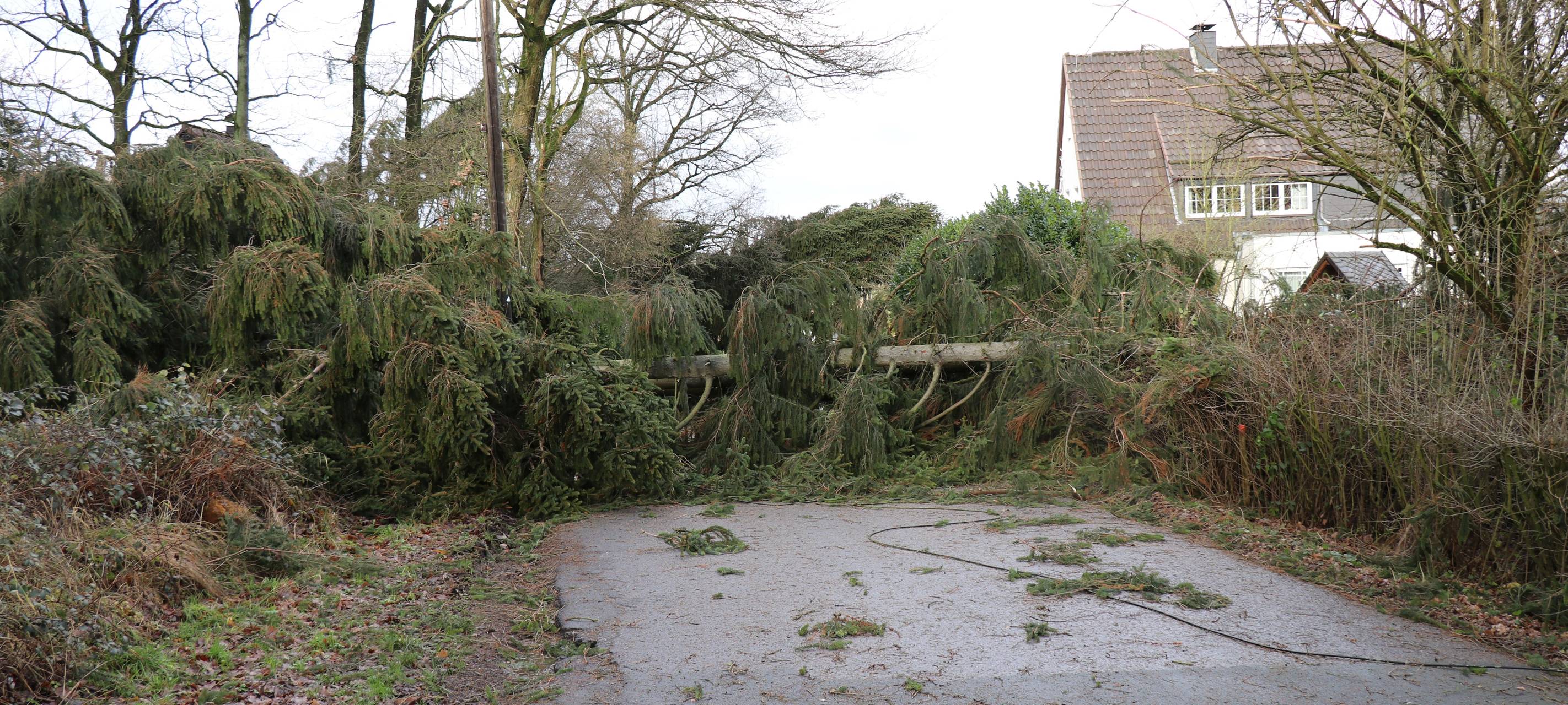 Sturm im MK: Wer haftet?