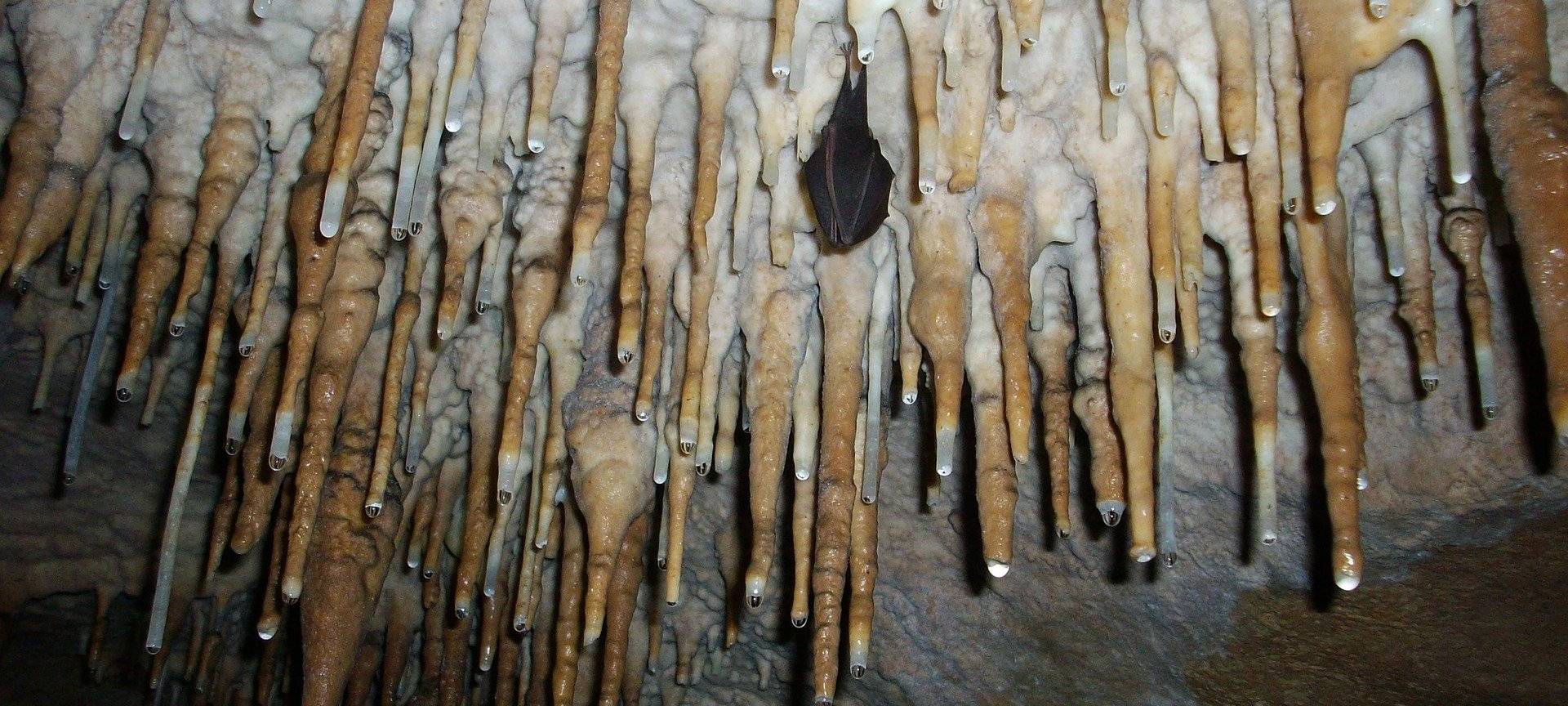 Tropfstein in Balve beschädigt