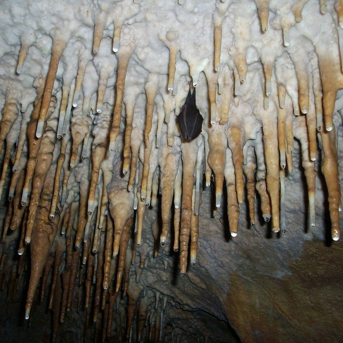 Tropfstein in Balve beschädigt Radio Mk