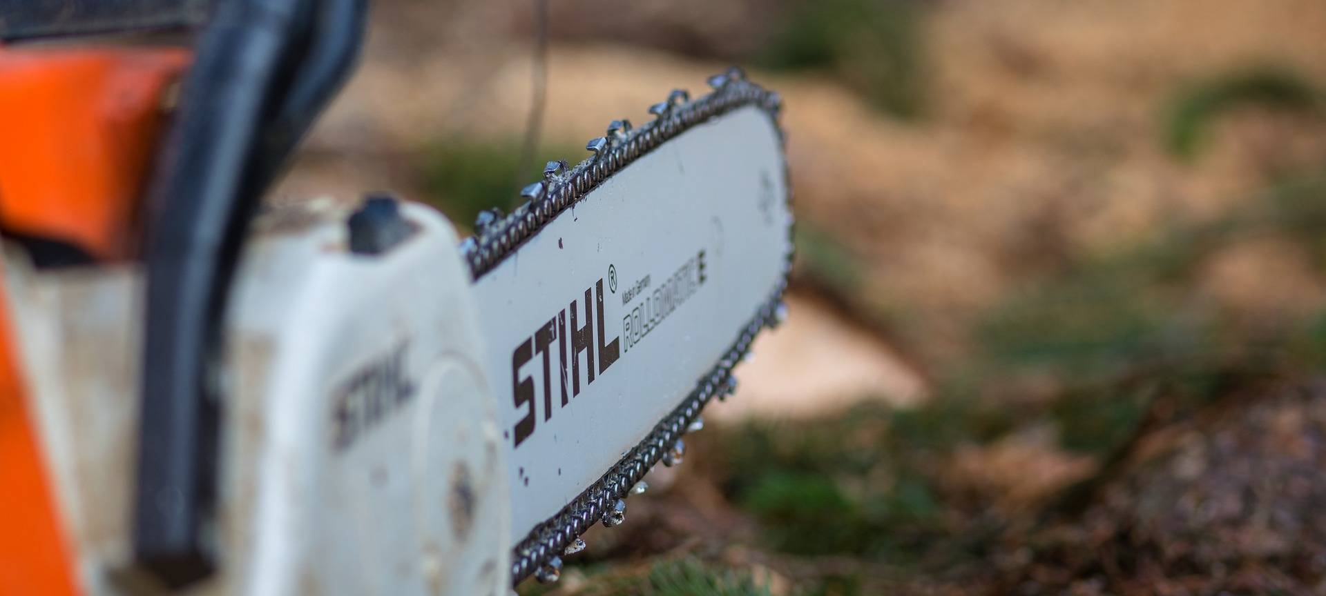 Ab heute: Kein Baumschnitt mehr!