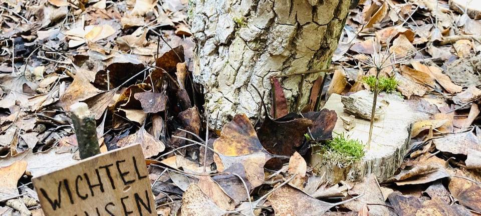 Lüdenscheider Berufskolleg macht Kunst aus der Natur