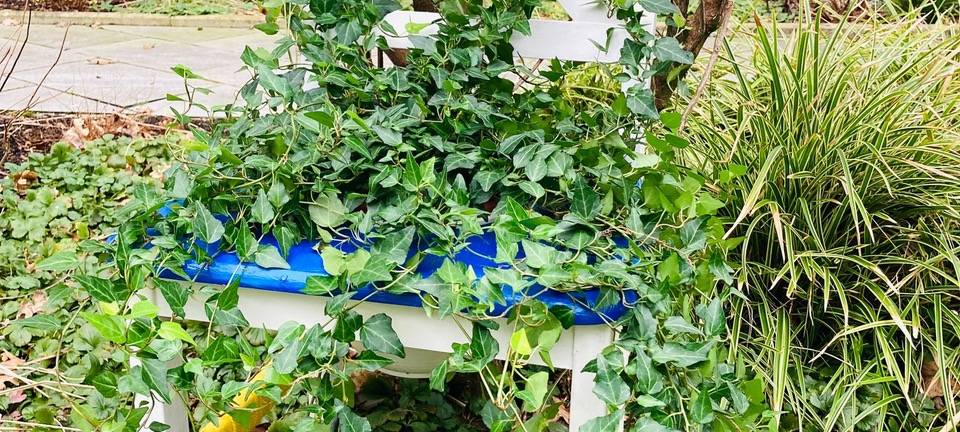 Lüdenscheider Berufskolleg macht Kunst aus der Natur