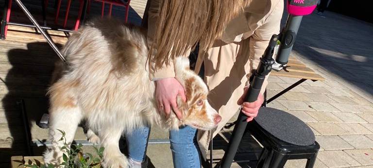 Die Radio MK Glücksblumen