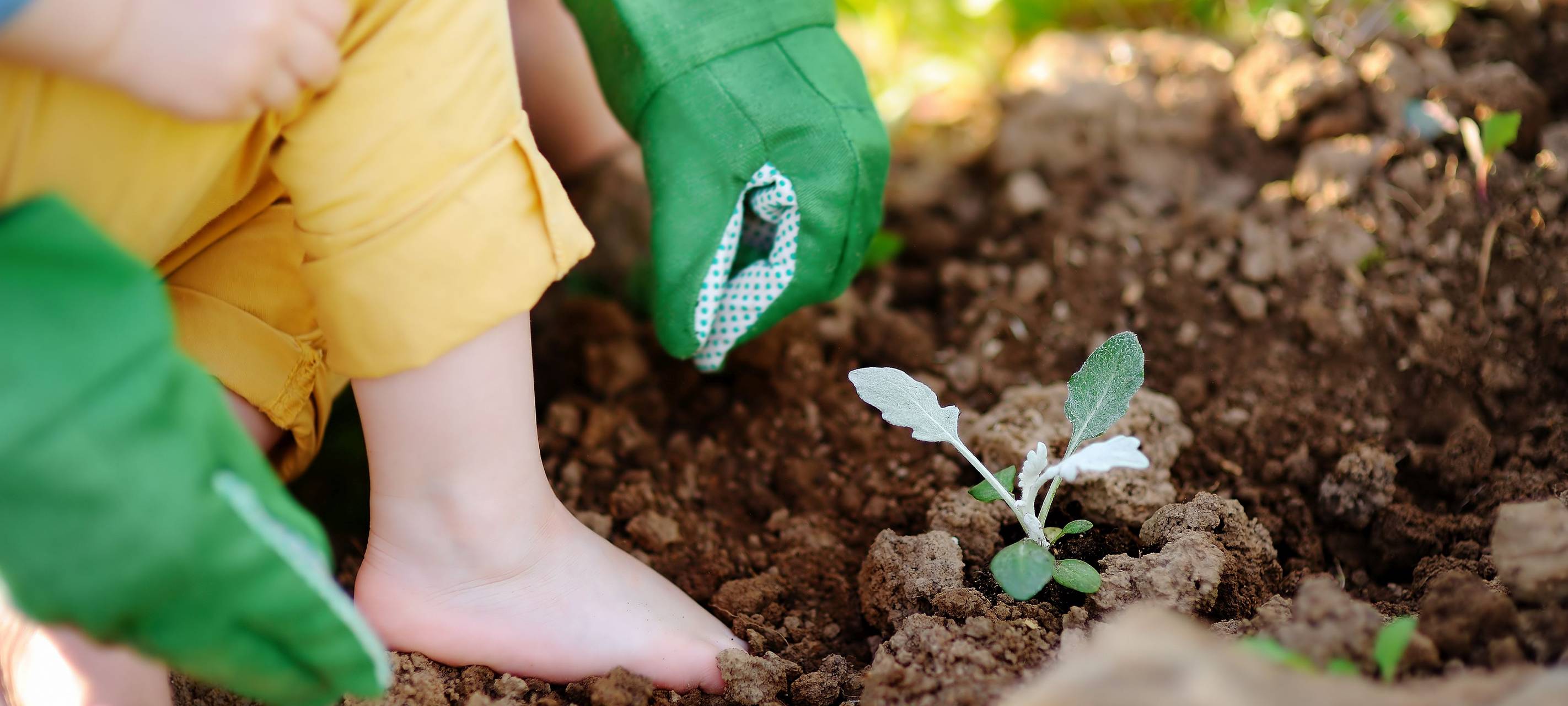 Vorsicht giftige Pflanzen!