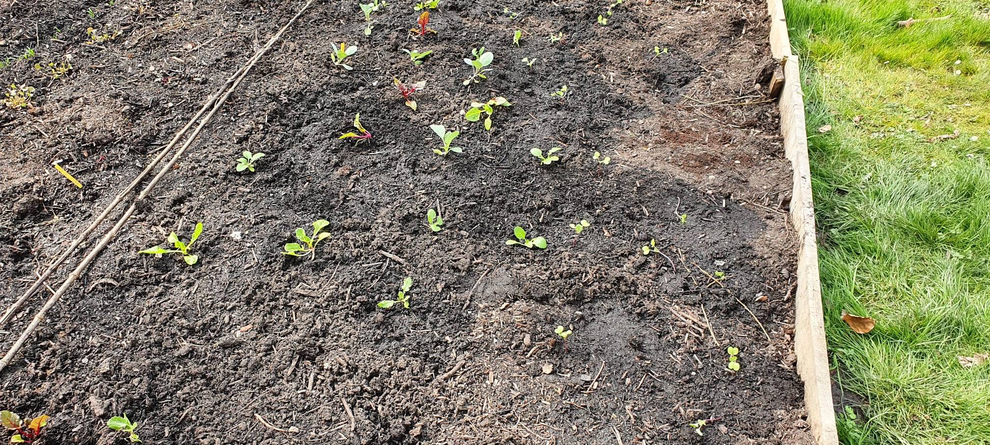 Gartonauten in Iserlohn