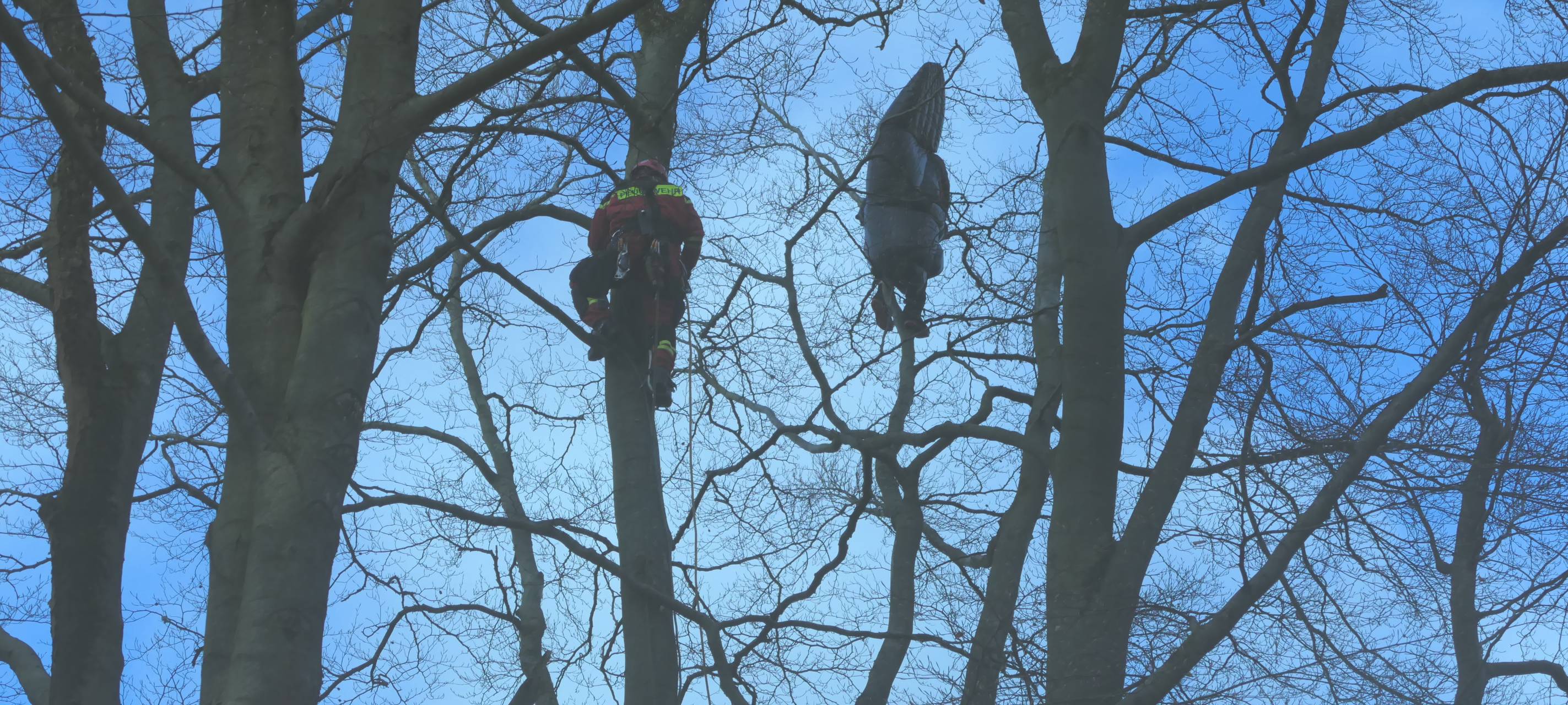 Paraglider aus Bäumen gerettet