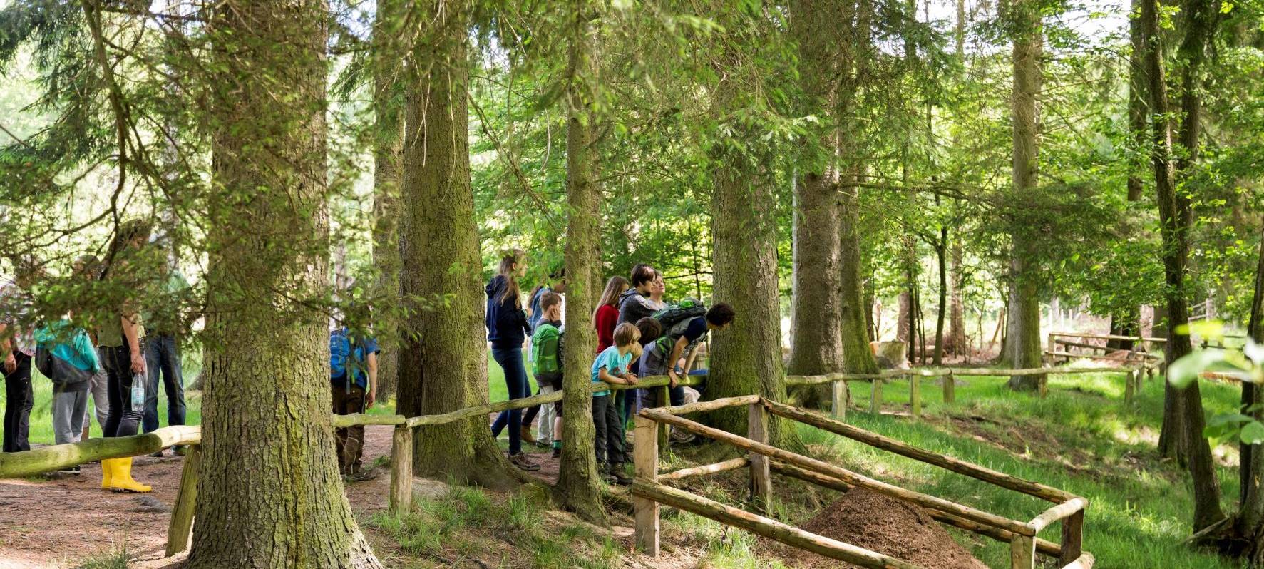 Wildwald Vosswinkel bietet kostenlosen Eintritt für ukrainische Geflüchtete im MK