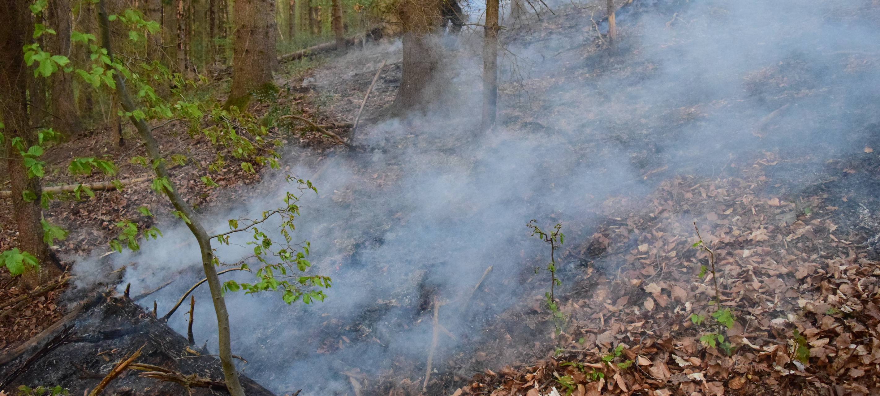 Feuer in den Wäldern im MK verboten