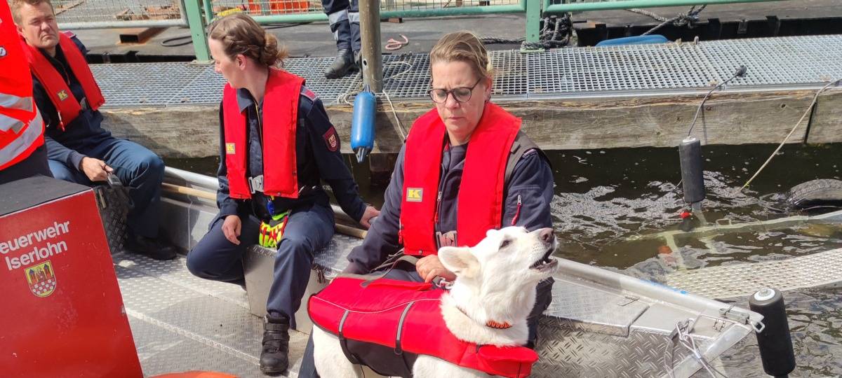 Hund auf Rettungsboot