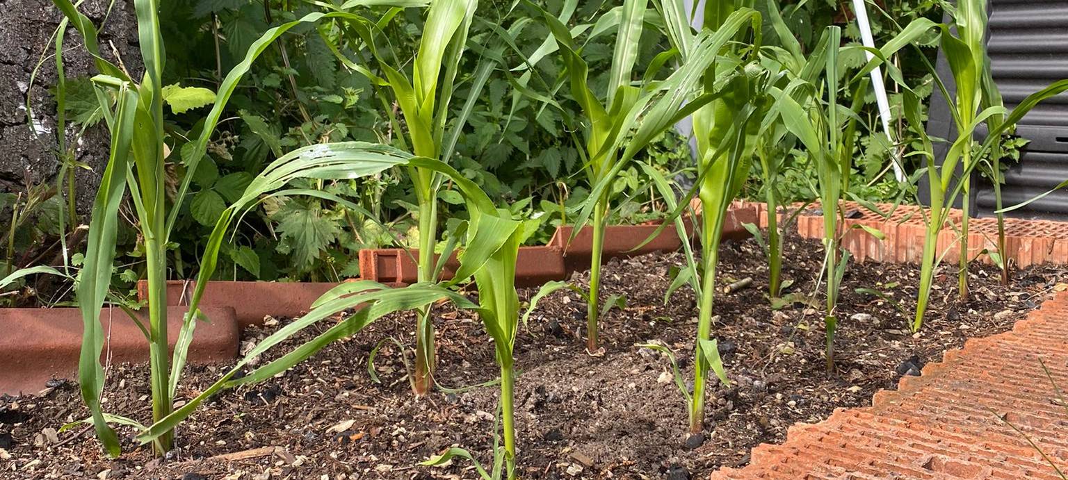 Aktion Super-Freunde: Das sind unsere Gewinner!