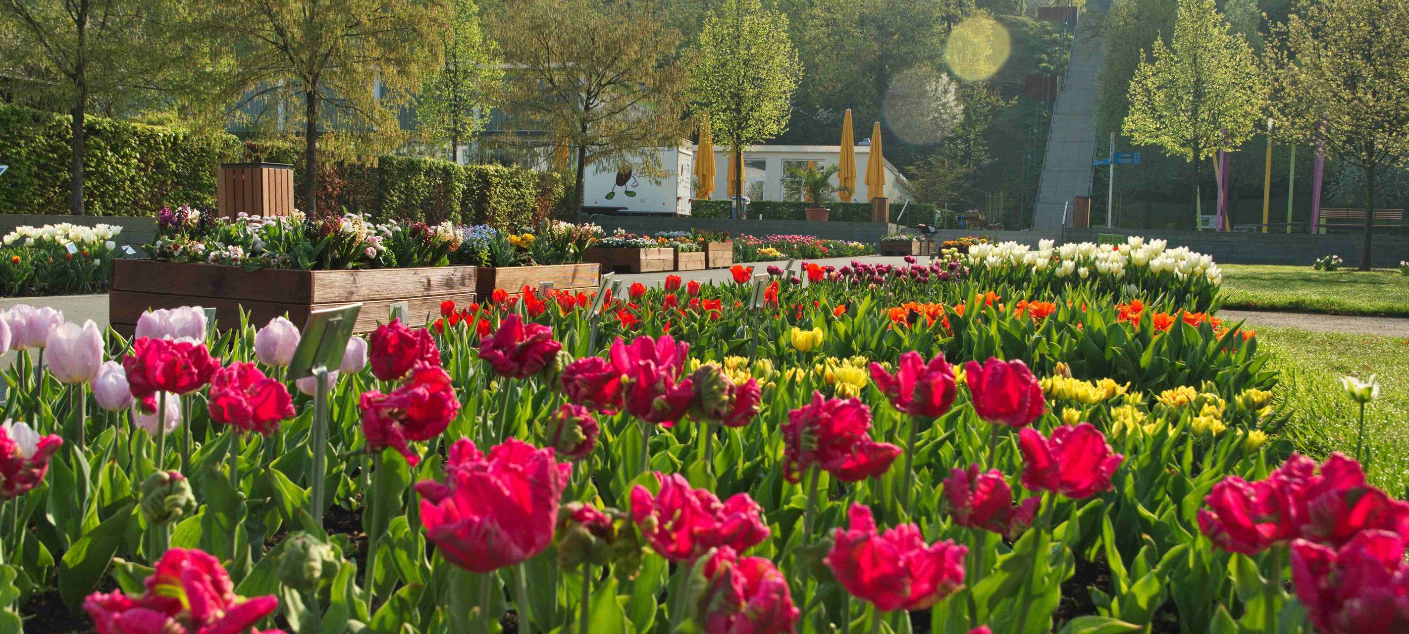 Die Gute Nachricht des Tages - Rückblick Mai