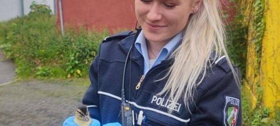 Polizei MK rettet Entenküken