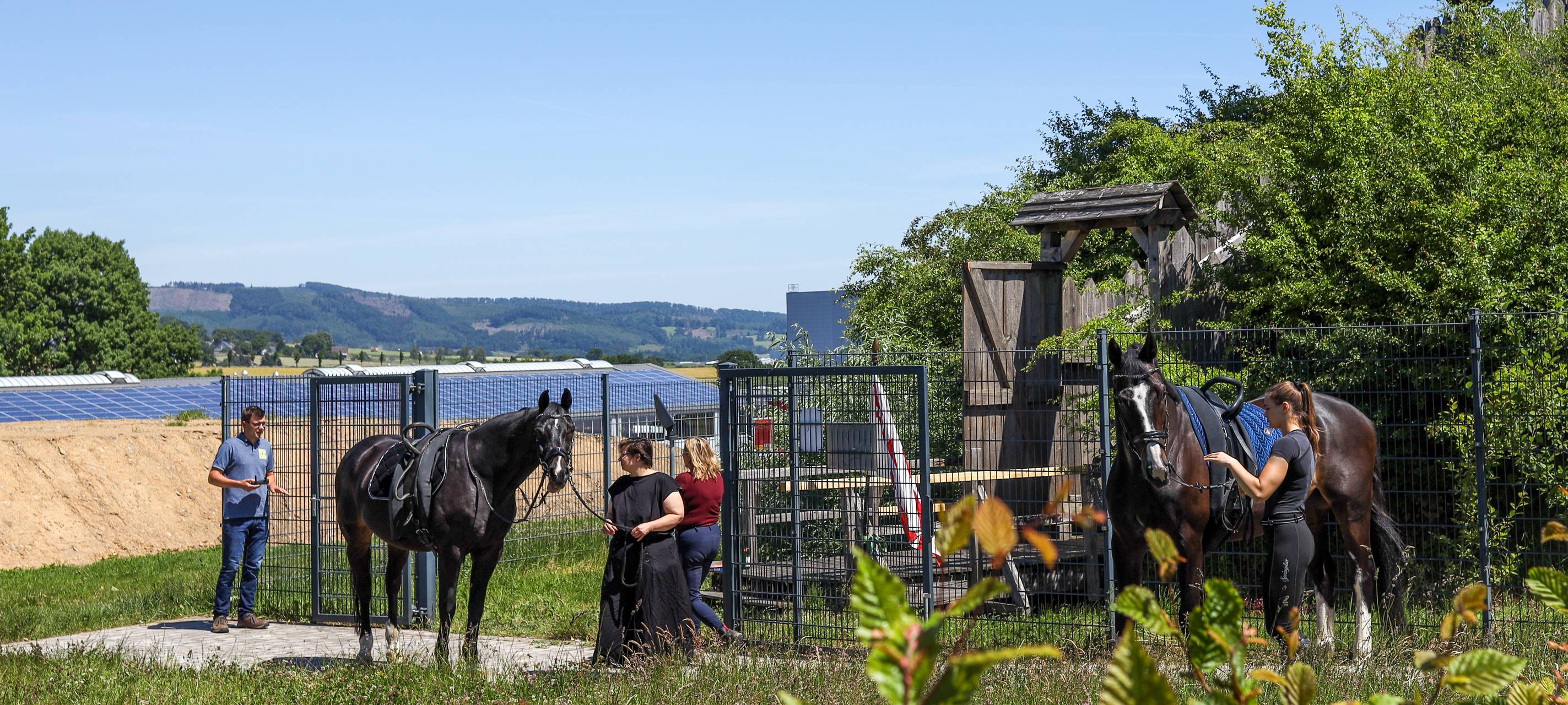 Mittelalterliche Hochzeit auf der Motte in Neuenrade