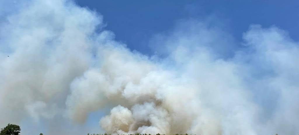 In Sundern brennen 35.000 Quadratmeter Wald