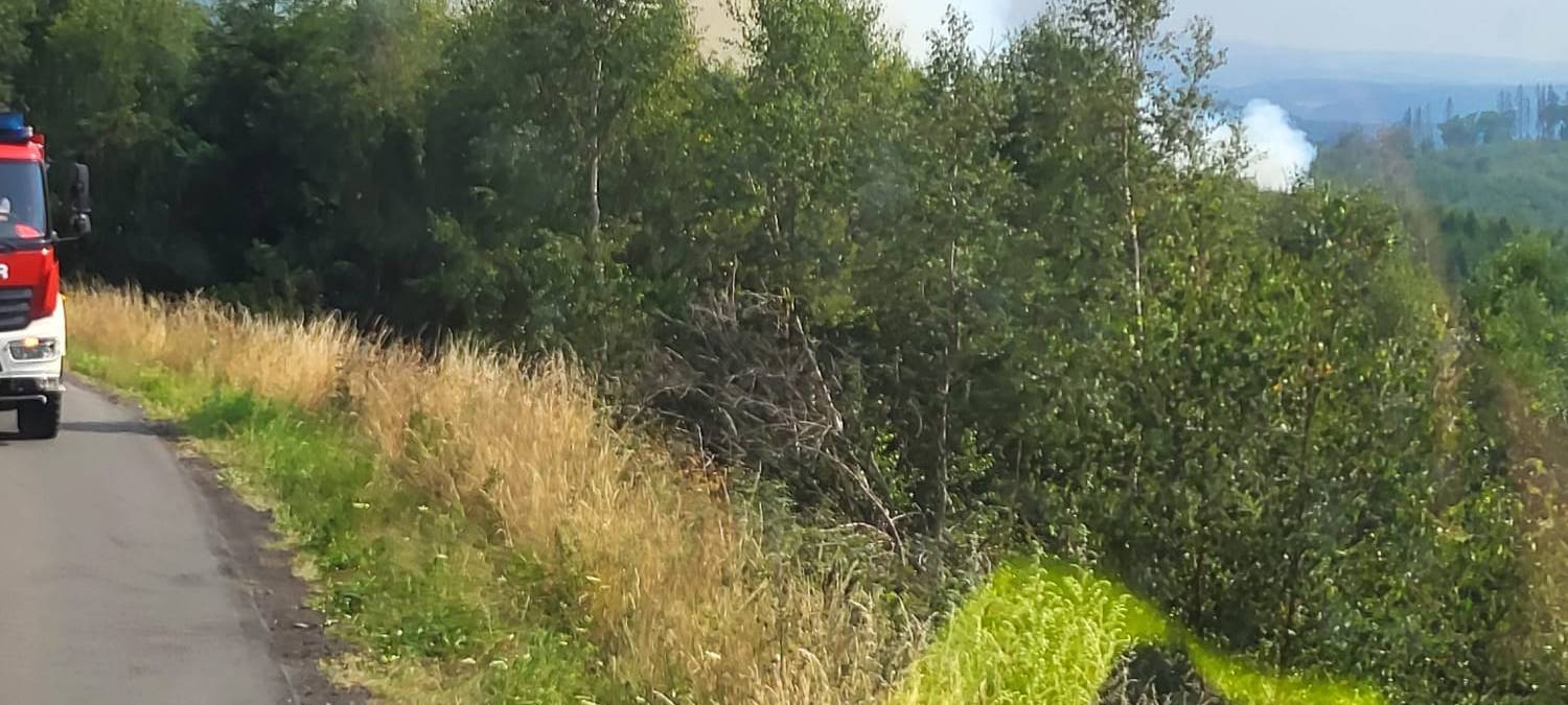 Waldbrand am Hegenscheid in Altena