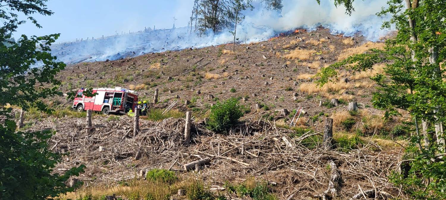 Waldbrand am Hegenscheid in Altena