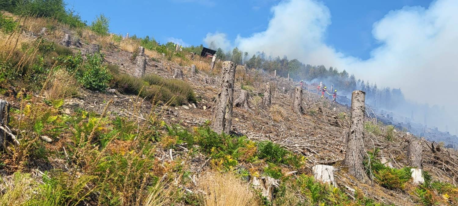 Waldbrand am Hegenscheid in Altena