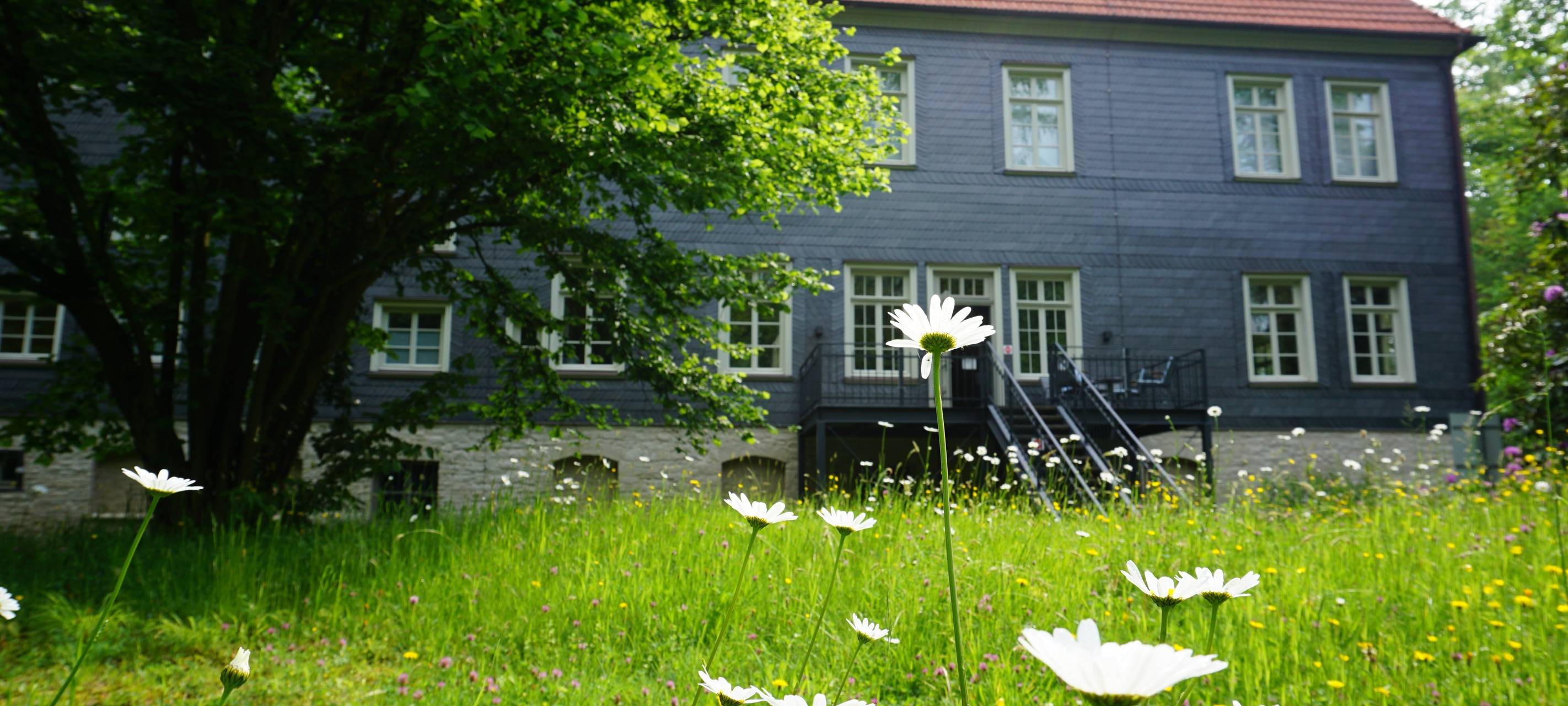 UnGezähmt: Kinder-Foto-Safari auf Gut Rödinghaus in Menden