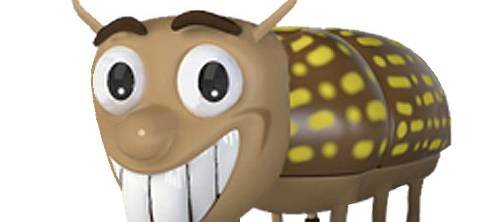 UnGezähmt: Kinder-Foto-Safari auf Gut Rödinghaus in Menden