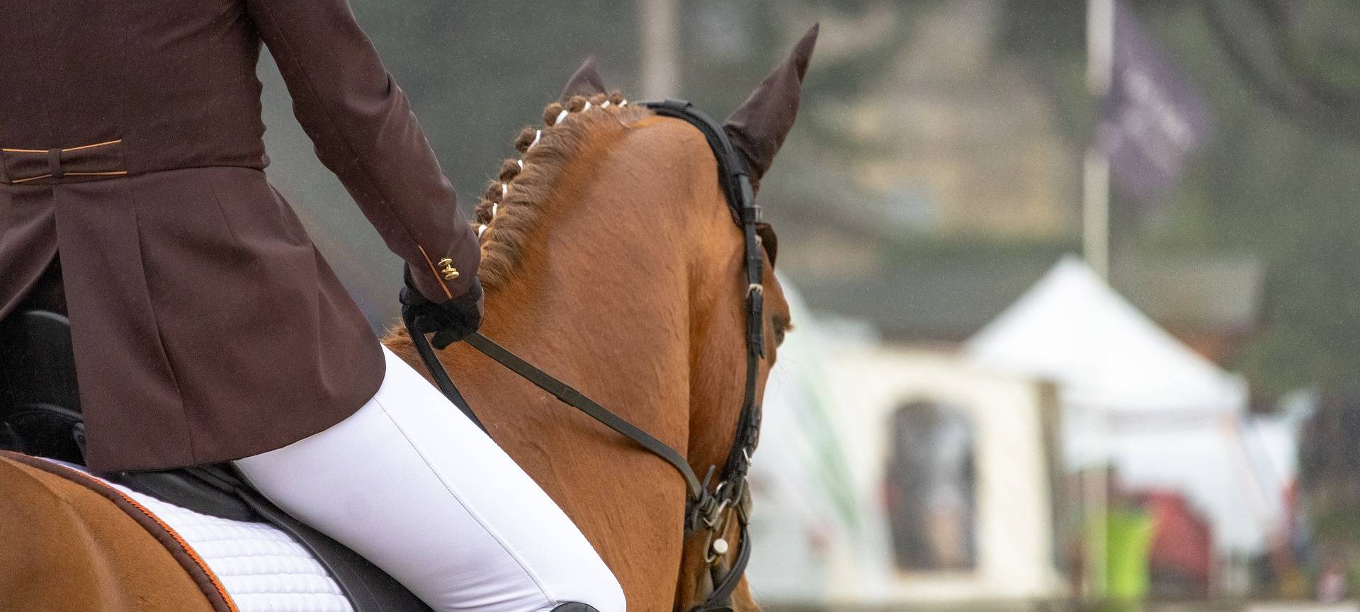Reitsport: Förderung für Flutlicht in Balve