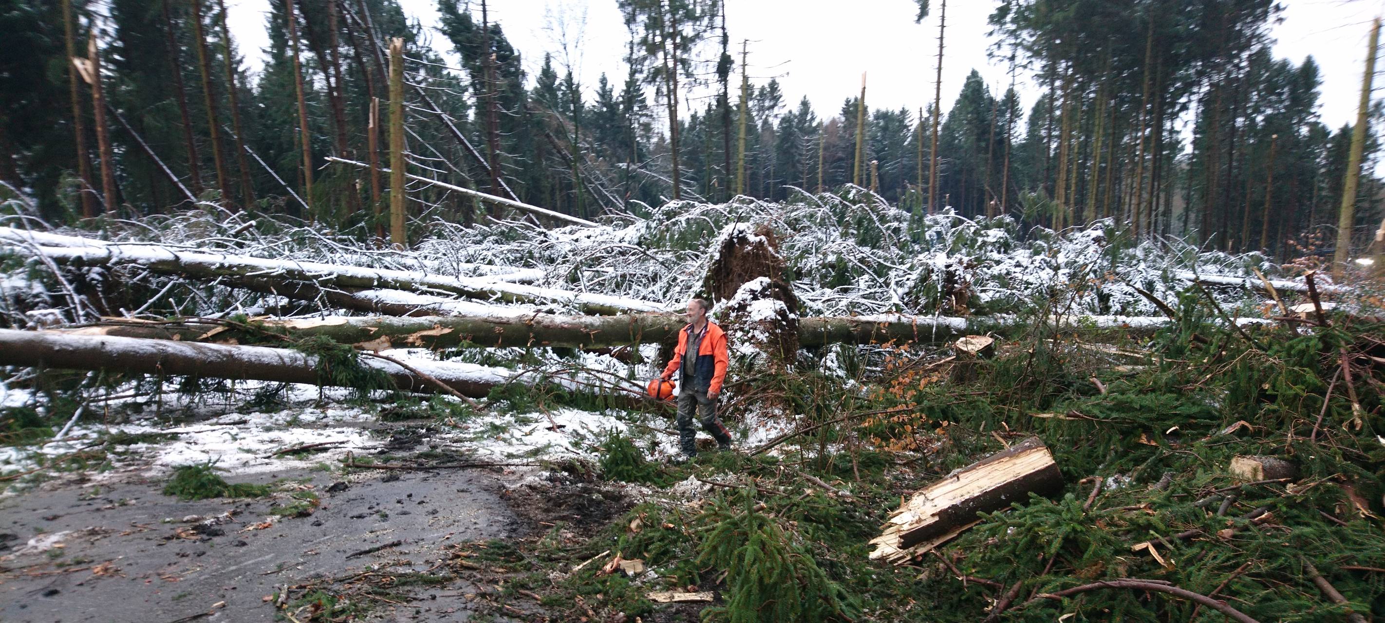 Forstamt: Wald nicht betreten!