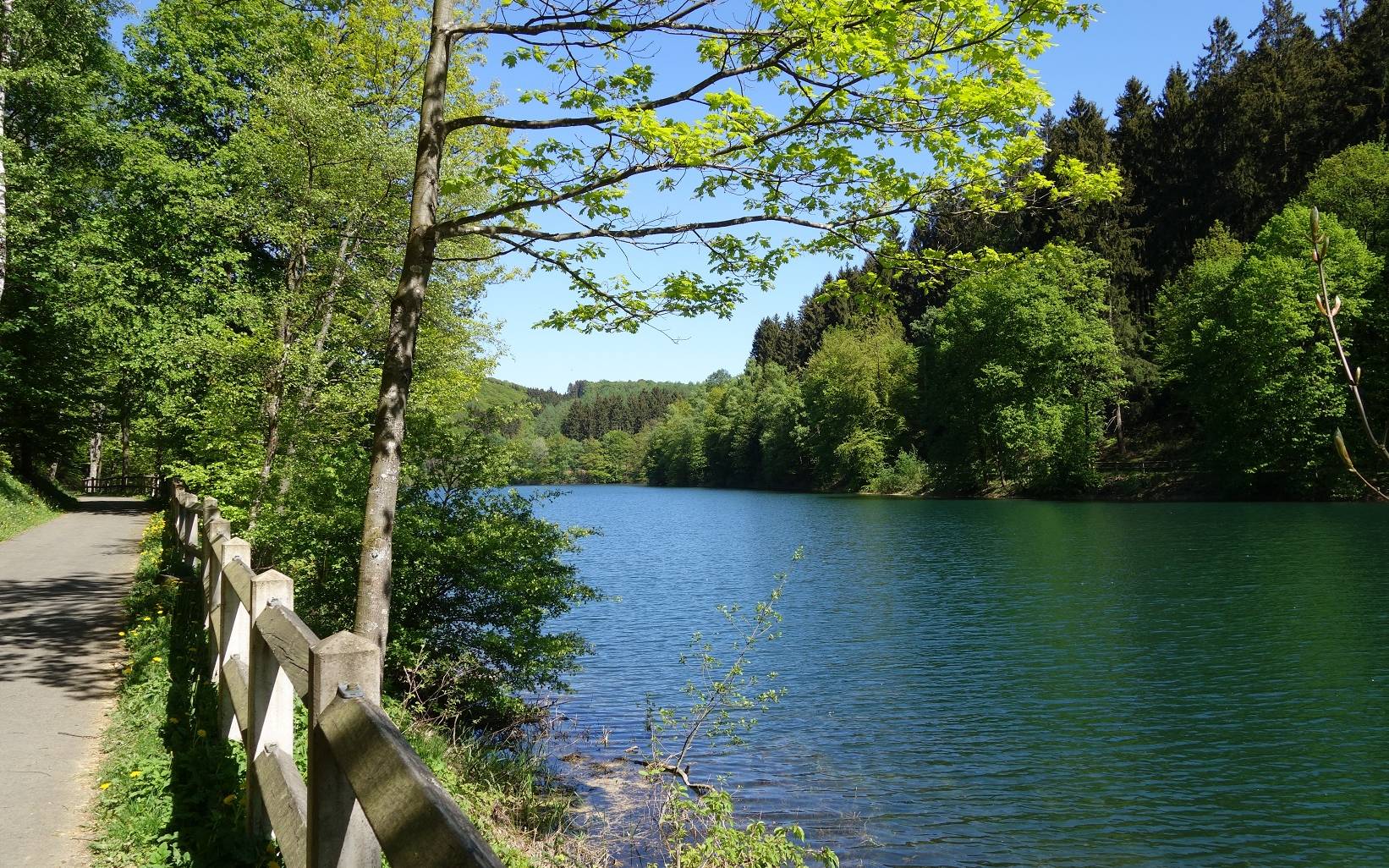 Ohne Talsperren wäre die Ruhr teils trockengefallen