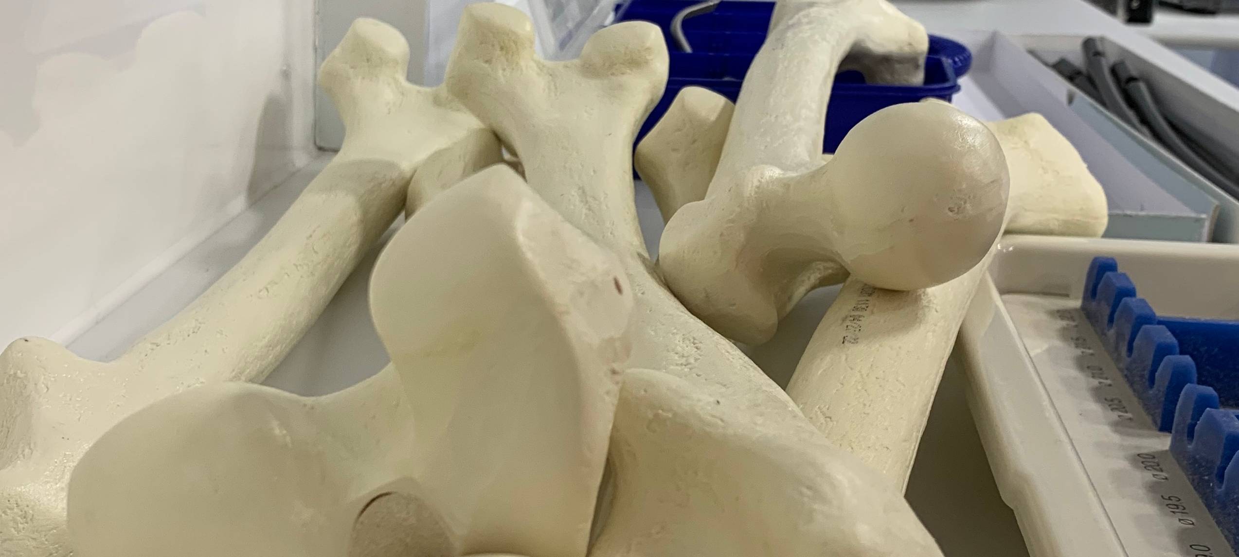 Bohren, Sägen und Schauben - Chirurgen im "Trauma Truck"