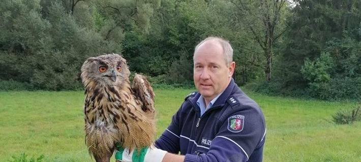 Polizei rettet verletzten Uhu in Balve