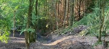 Naturschutzgebiet in Plettenberg beschädigt