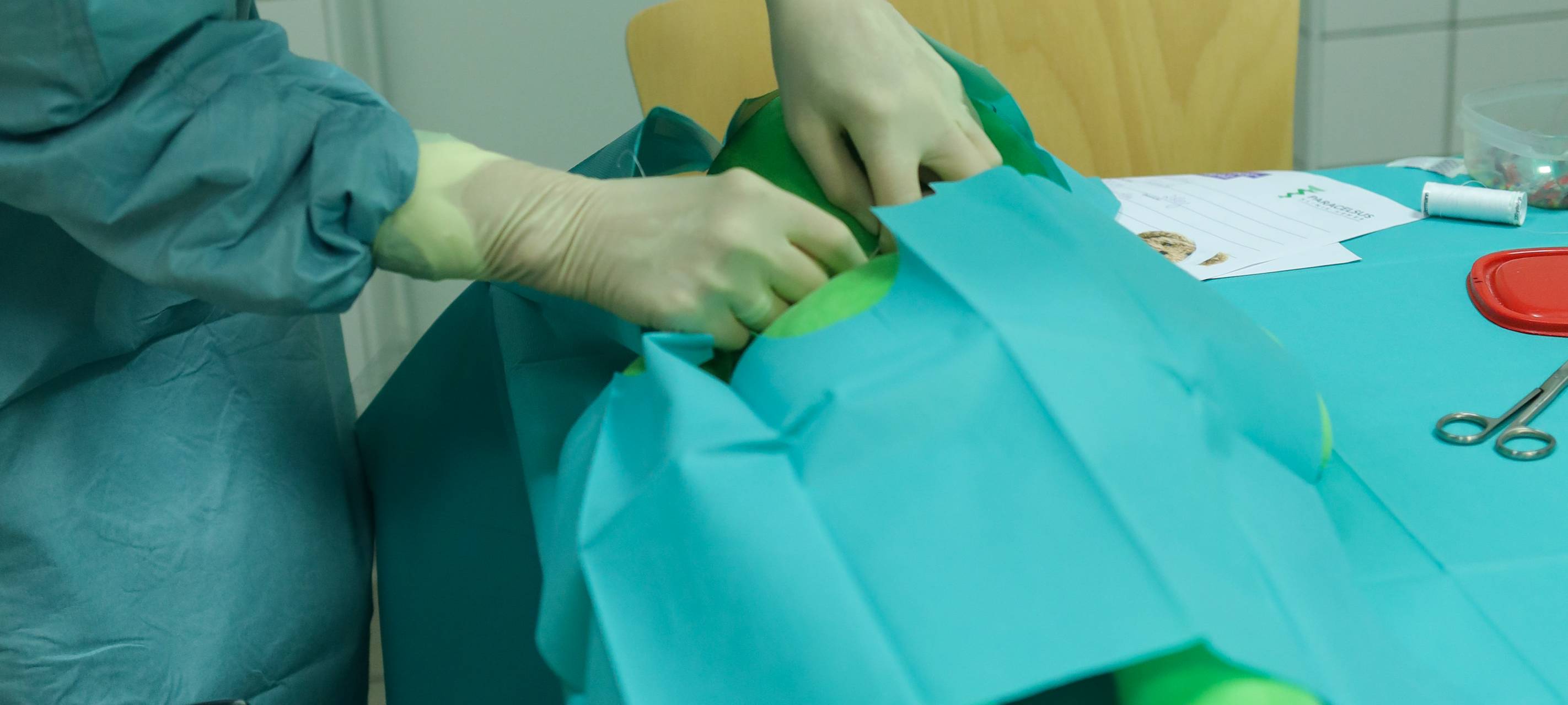 Kuscheltier-Ambulanz in Hemer