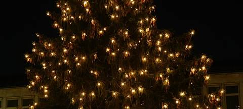 Aufbau des größten Weihnachtsbaums der Welt in Dortmund