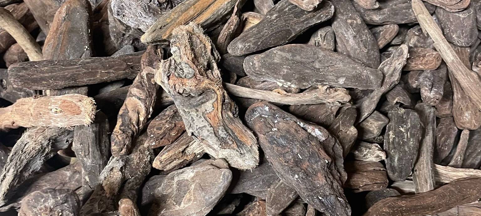 Zu Besuch beim Krippenbauer in Hemer