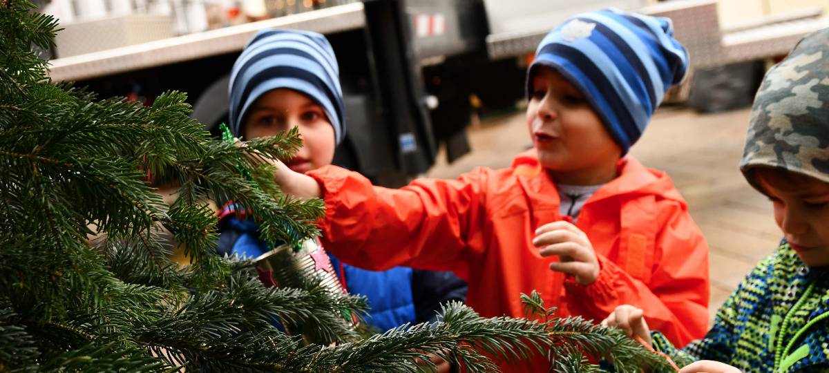 Kita Kinder schmücken Lüdenscheider Tanne