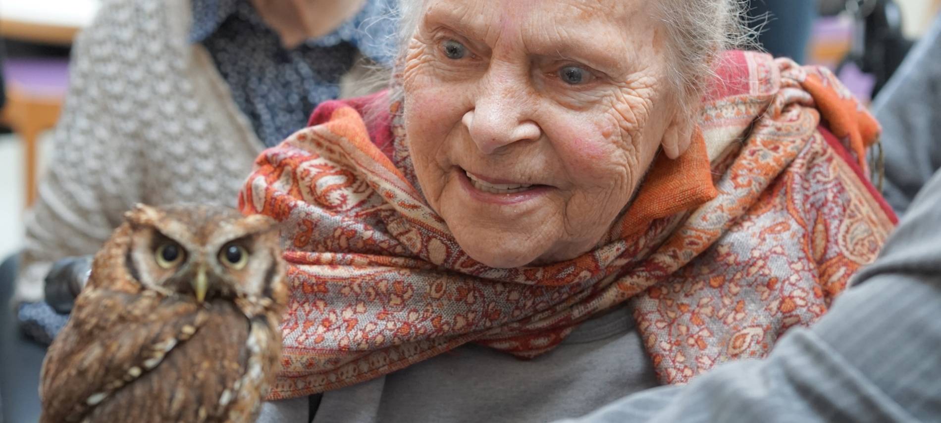 Wenn das Käuzchen kuscheln kommt...