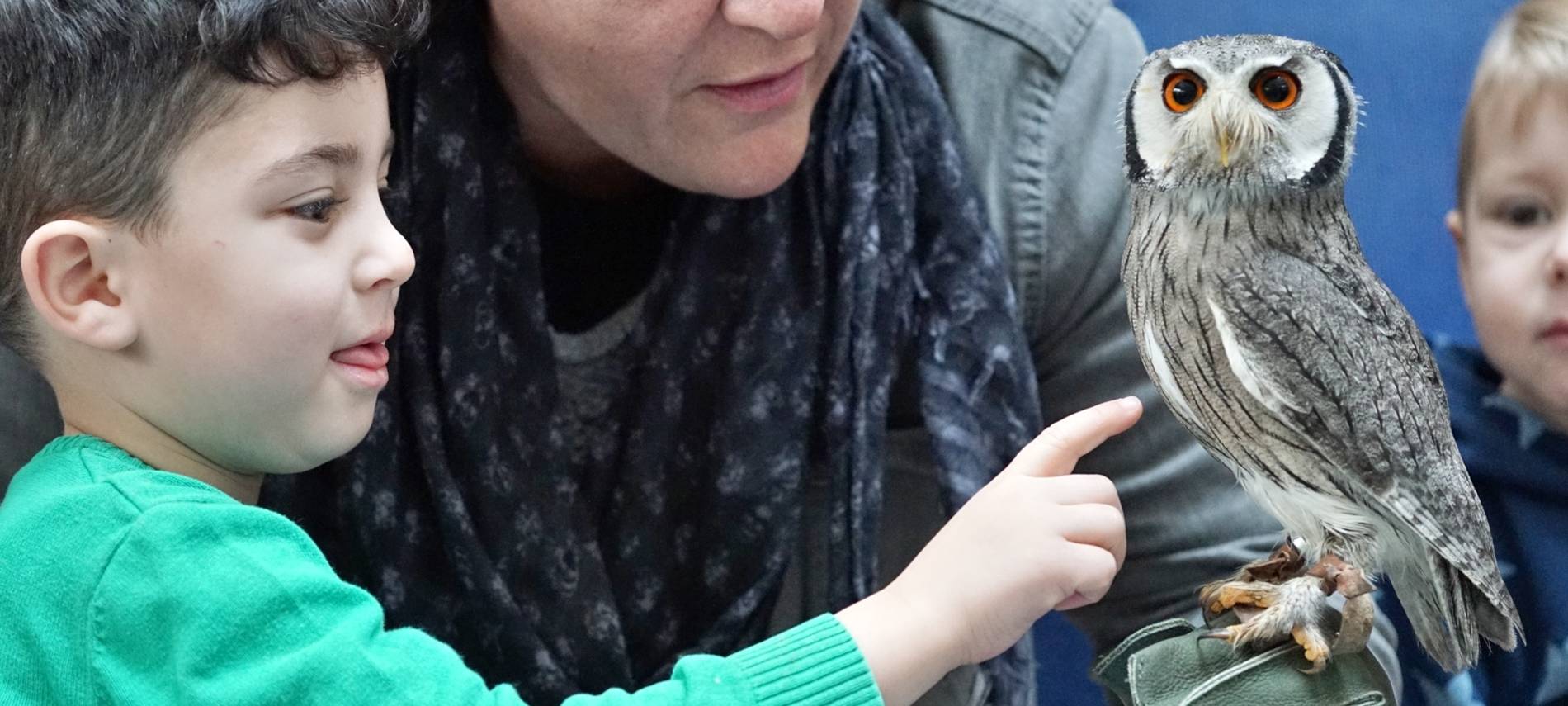 Wenn das Käuzchen kuscheln kommt...
