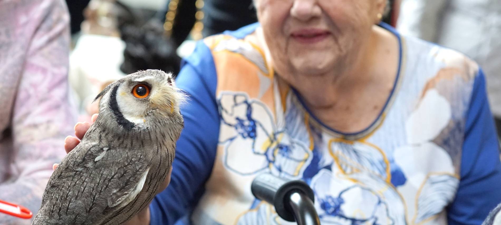 Wenn das Käuzchen kuscheln kommt...